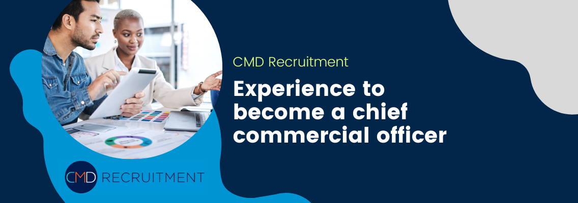 Experience to become a chief commercial officer