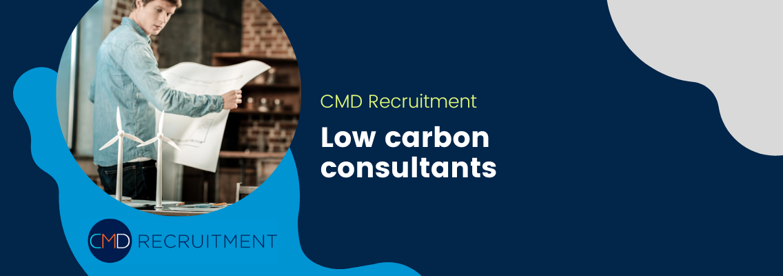 Low carbon consultants