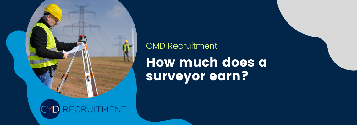 How much does a surveyor earn?
